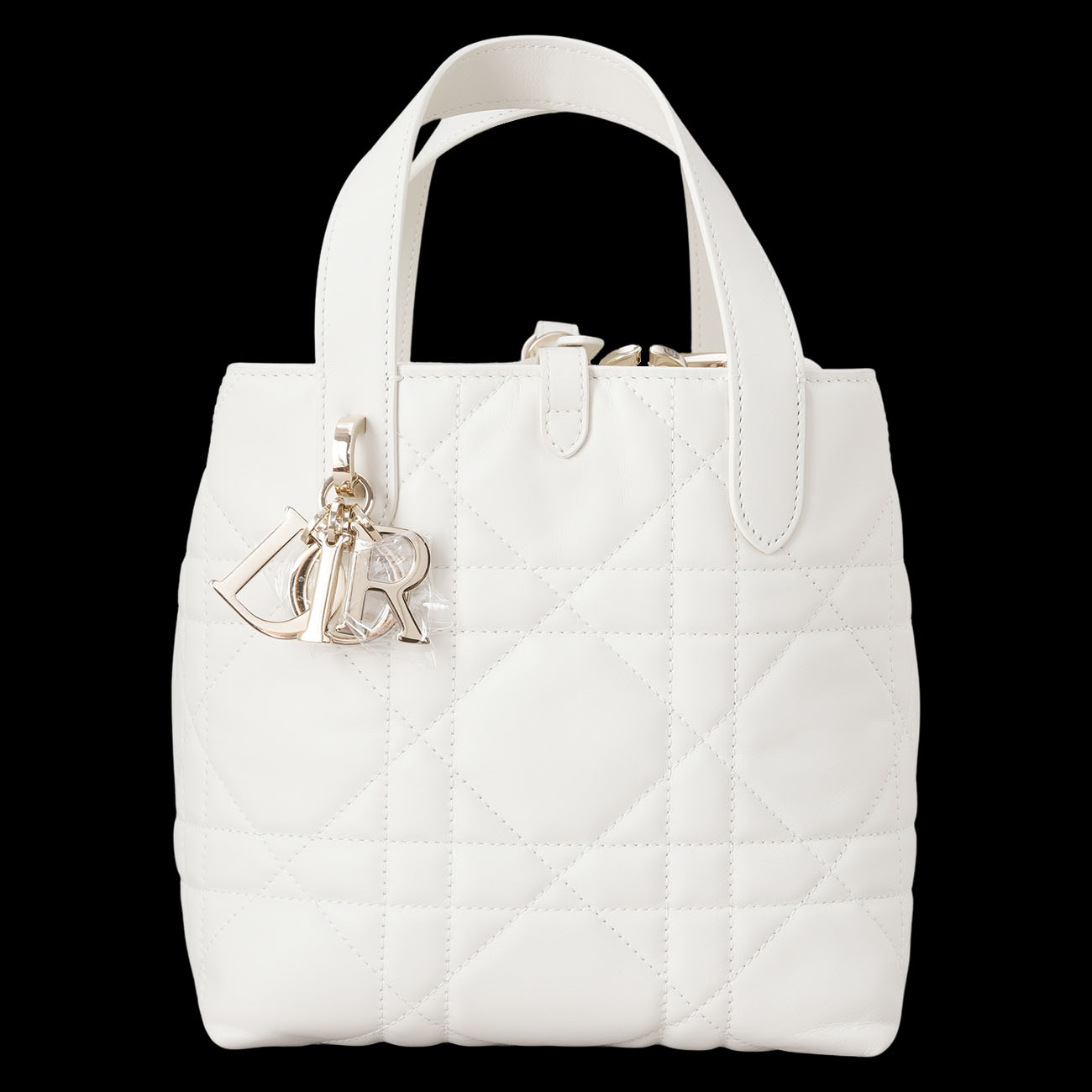 CHRISTIAN DIOR(USED)디올 뚜주흐 버티컬 토트백 스몰
